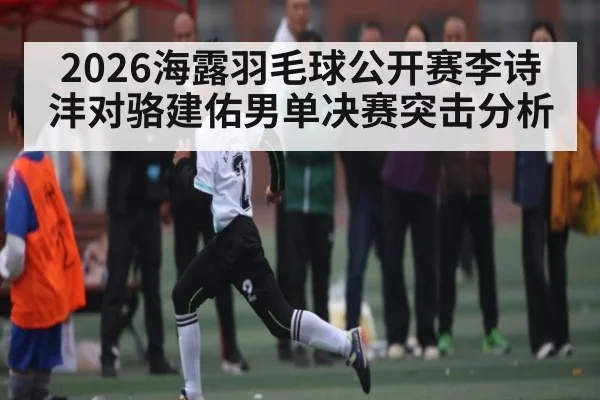 2026海露羽毛球公开赛李诗沣对骆建佑男单决赛突击分析