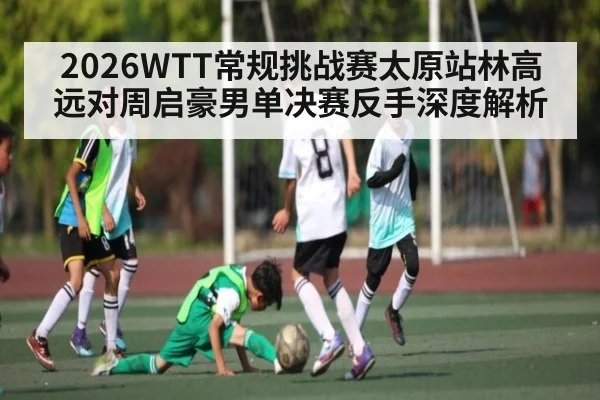 2026WTT常规挑战赛太原站林高远对周启豪男单决赛反手深度解析